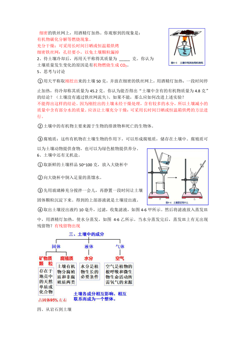 第4章 植物与土壤 知识点（提纲）