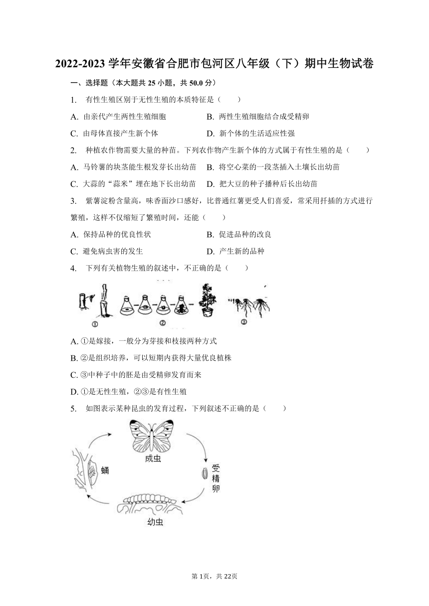 2022-2023学年安徽省合肥市包河区八年级（下）期中生物试卷（含解析）