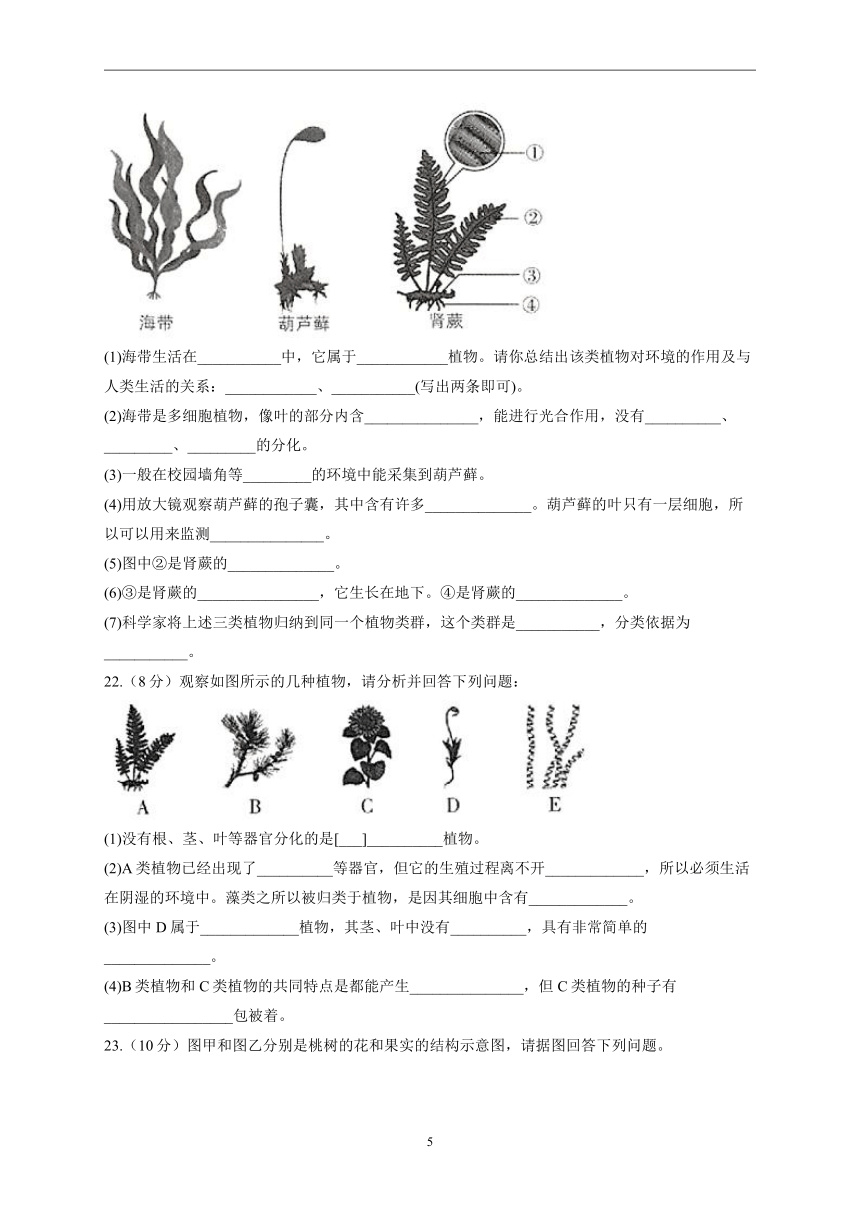 第三单元第一、二章同步练习(word版含解析） 2022-2023学年人教版生物七年级上册