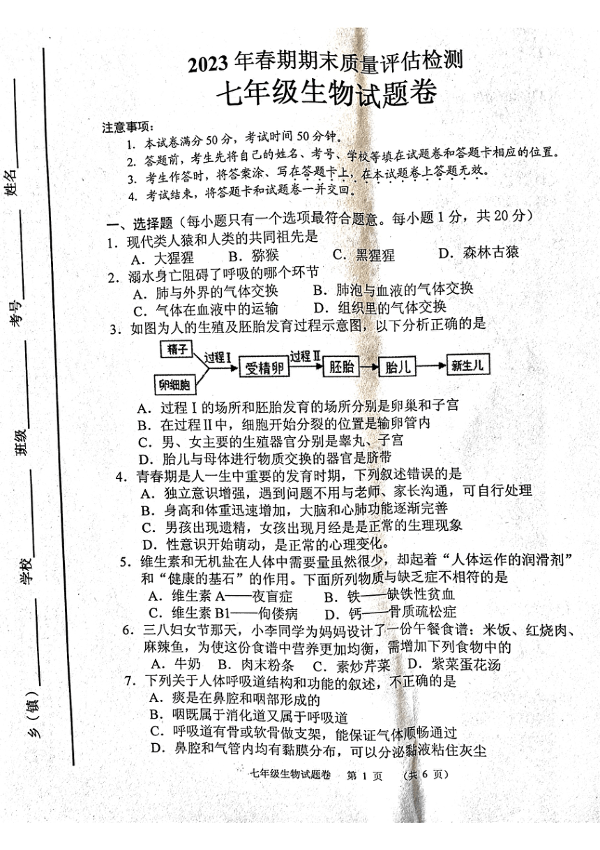 河南省南阳市宛城区2022-2023学年七年级下学期6月期末生物试题（pdf版无答案）