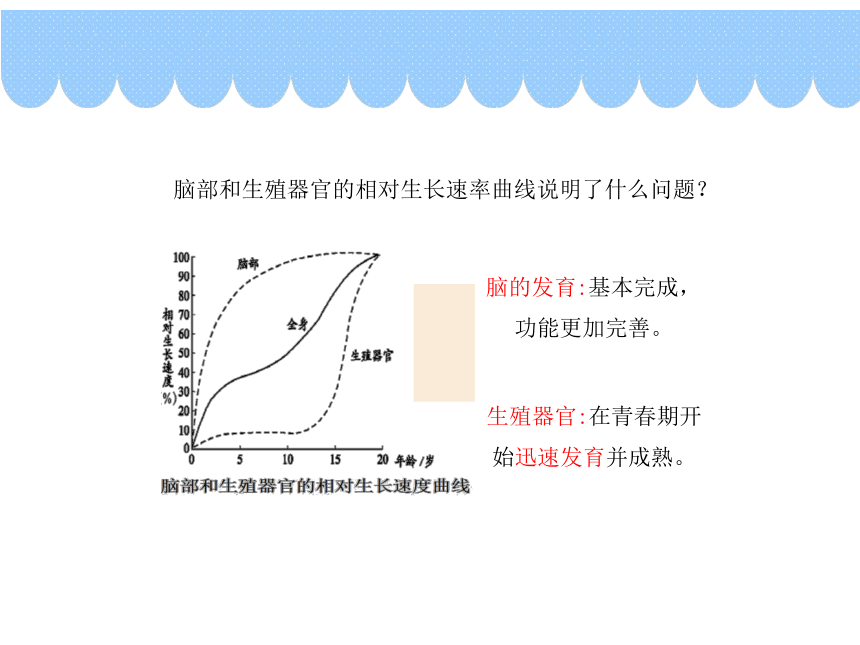 4.3.2 青春期发育 课件-（共43张PPT）