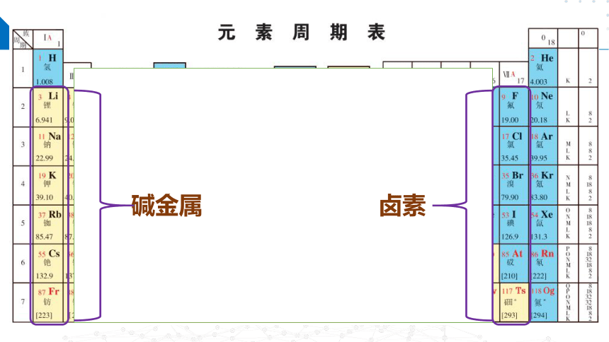 5.1.3同主族元素性质（课件）高一化学（苏教版2019必修第一册）（共25张ppt）