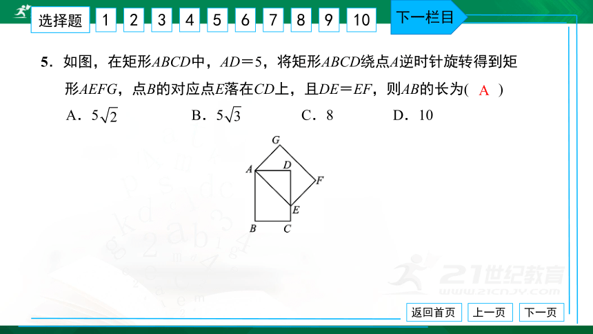 人教版九年级 单元卷（三） 旋转 习题课件（共38张PPT）