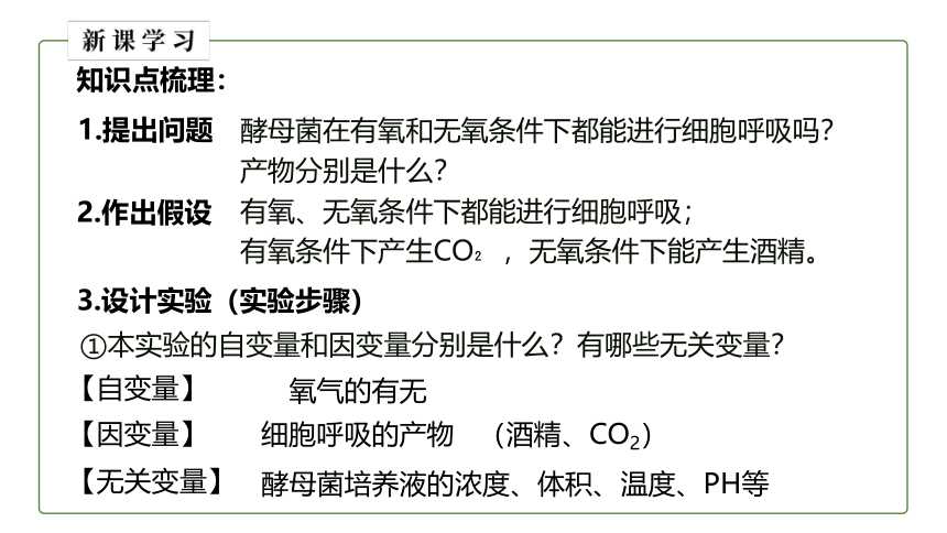 2021-2022学年高一上学期生物人教版（2019）必修一5.3 细胞呼吸的原理和应用课件（31张ppt）