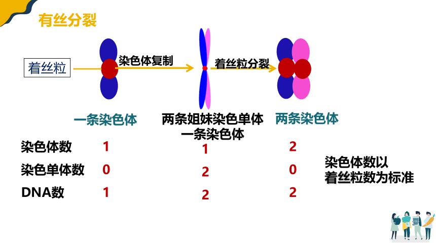 生物人教版（2019）必修2 2.1减数分裂（共66张ppt）