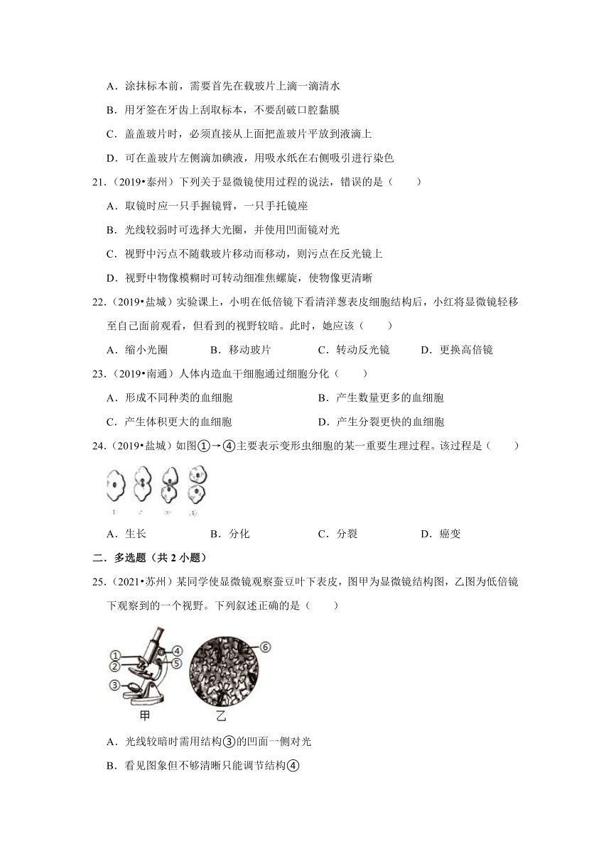 专题1生物体的结构层次----2019-2021年江苏省中考生物试题分类汇编（word版 含解析）