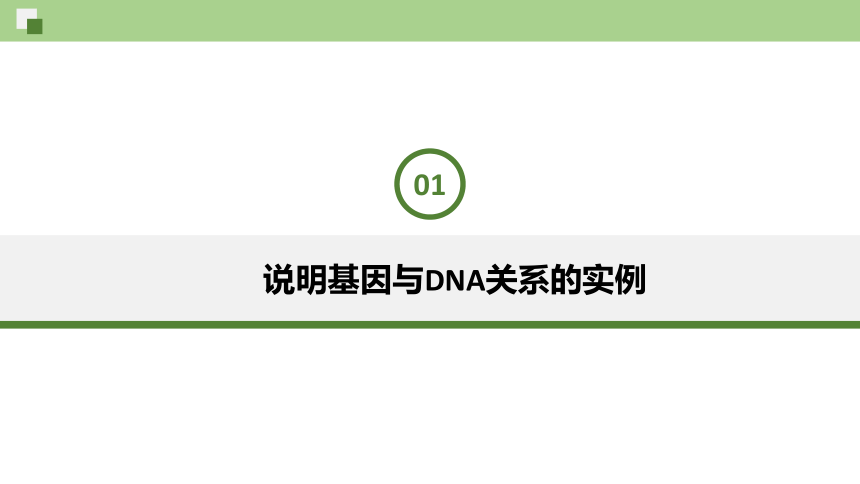 3.4基因通常是有遗传效应的DNA片段-人教版2019必修2(共33张PPT)