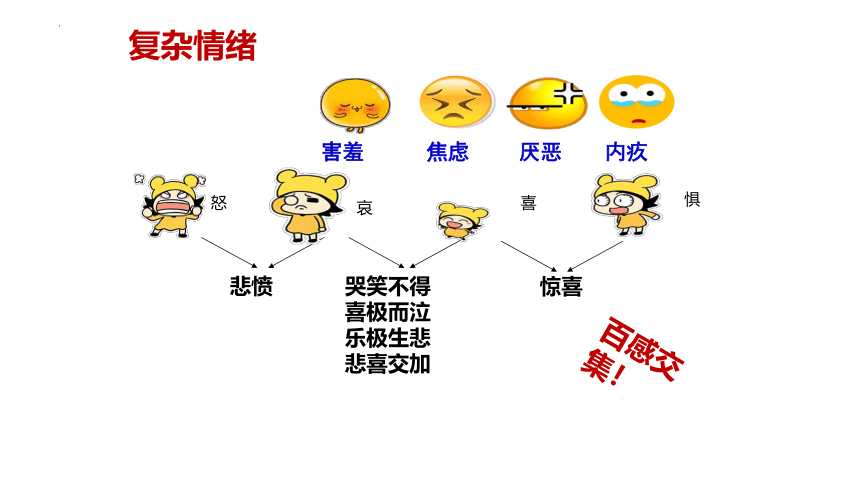 第四课揭开情绪的面纱复习课件 (共44张PPT)