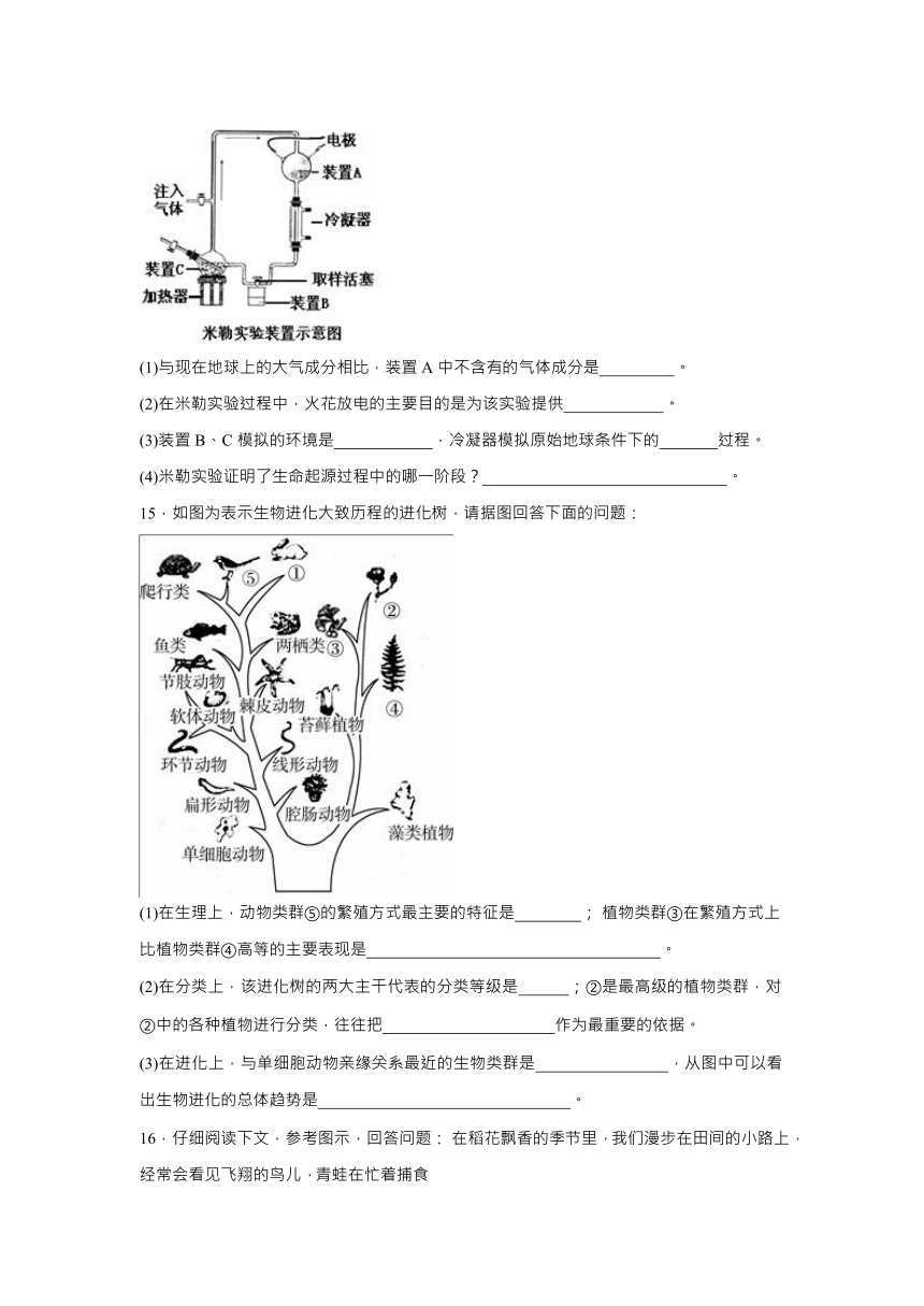 【会考专训】中考生物会考复习专项训练27：生物的进化（含解析）