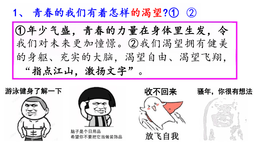 3.1 青春飞扬 课件(共19张PPT)2023-2024学年统编版道德与法治七年级下册