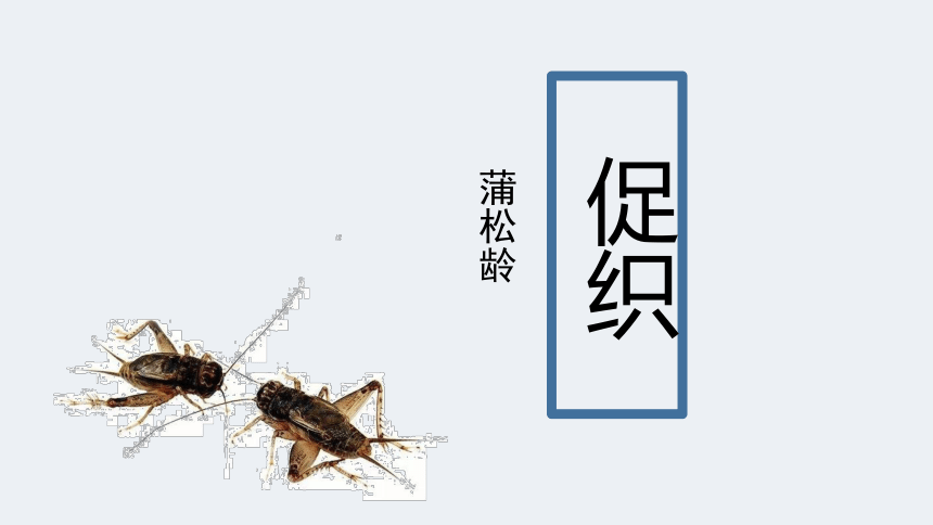 【新教材】14-1 促织（共37张PPT）课件——2020-2021学年高中语文部编版（2019）必修下册