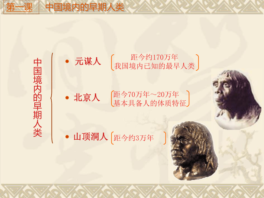 人教版七年级上册历史第1课中国境内早期人类的代表—北京人  课件(25张PPT)