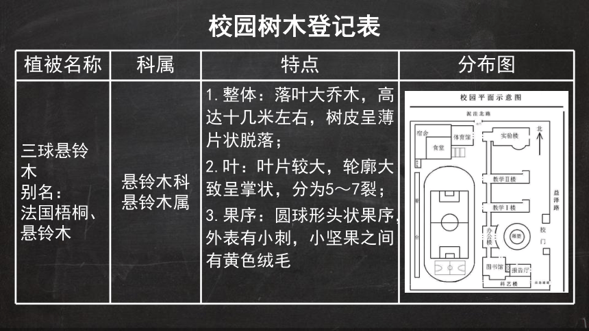 2.7  植被与自然地理环境的关系  课件（共38张幻灯片）