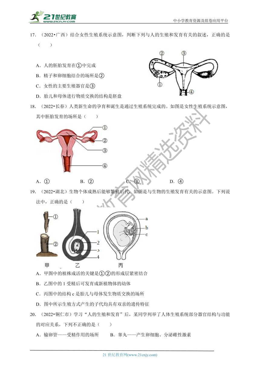 【备考2023】2022年中考生物真题分类汇编6——人的生殖和发育部分（含解析）