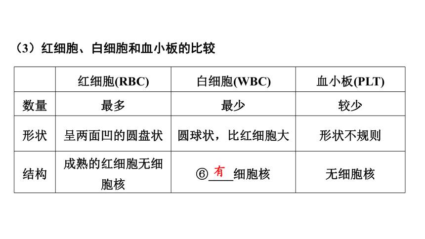 4.4 血液、血管、输血和血型复习课件(共26张PPT)