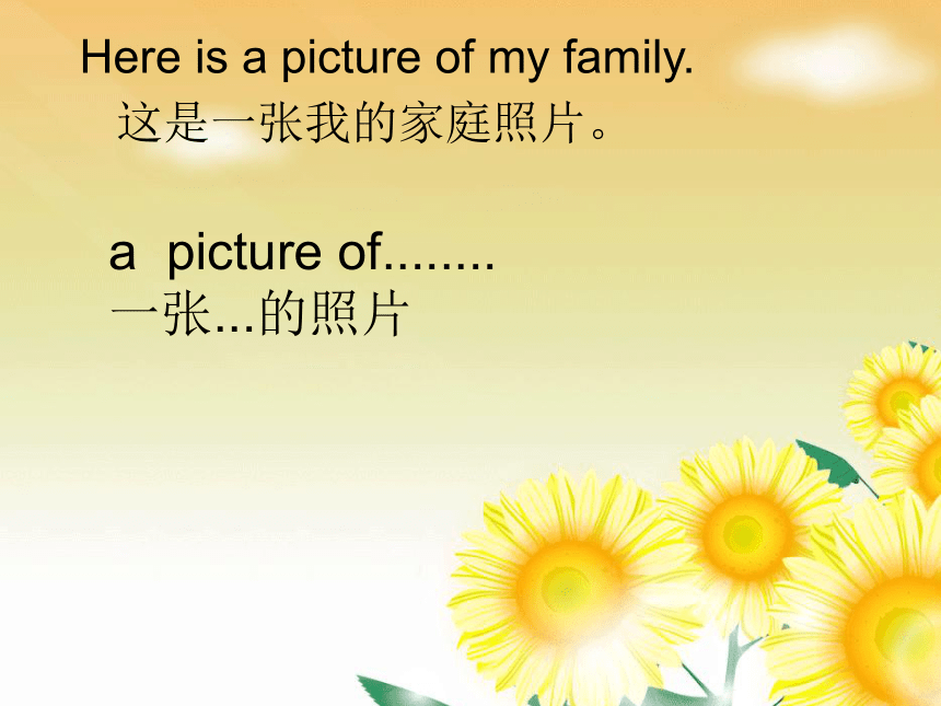 Unit3 My father is a writer (Lesson13) 课件（14张PPT）