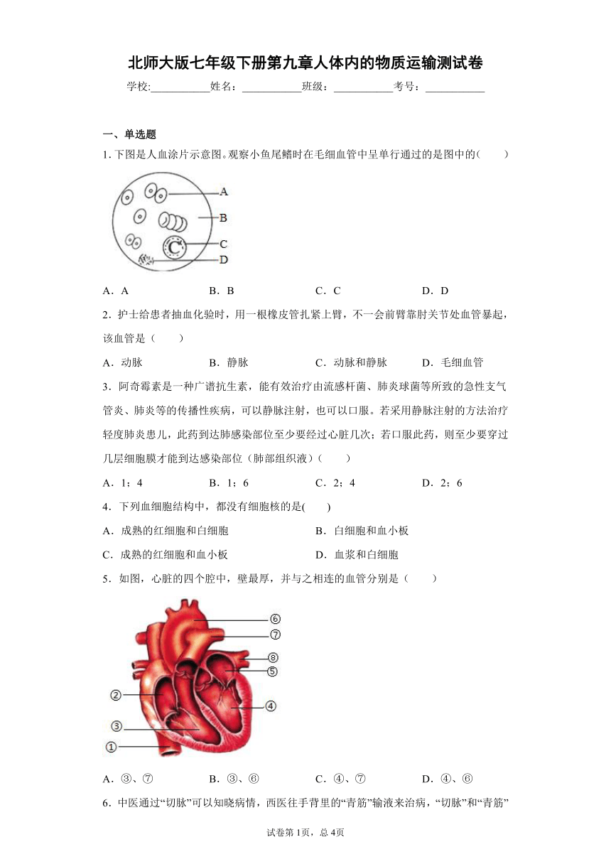 2020-2021学年 北师大版七年级下册第九章人体内的物质运输测试卷（Word版 含答案）