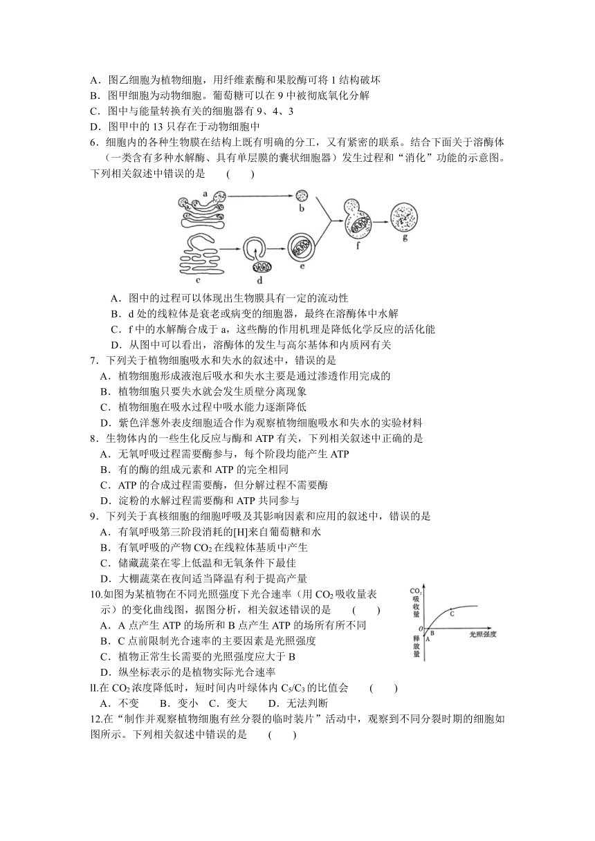 河南省名校联盟2020-2021学年高一下学期期末考试生物试题 Word版含答案