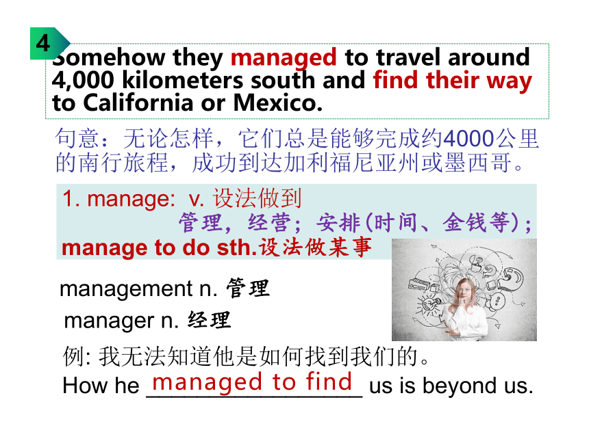 外研版（2019）  必修第一册  Unit 5 Into the Wild Understanding ideas 知识点课件-(23张ppt)