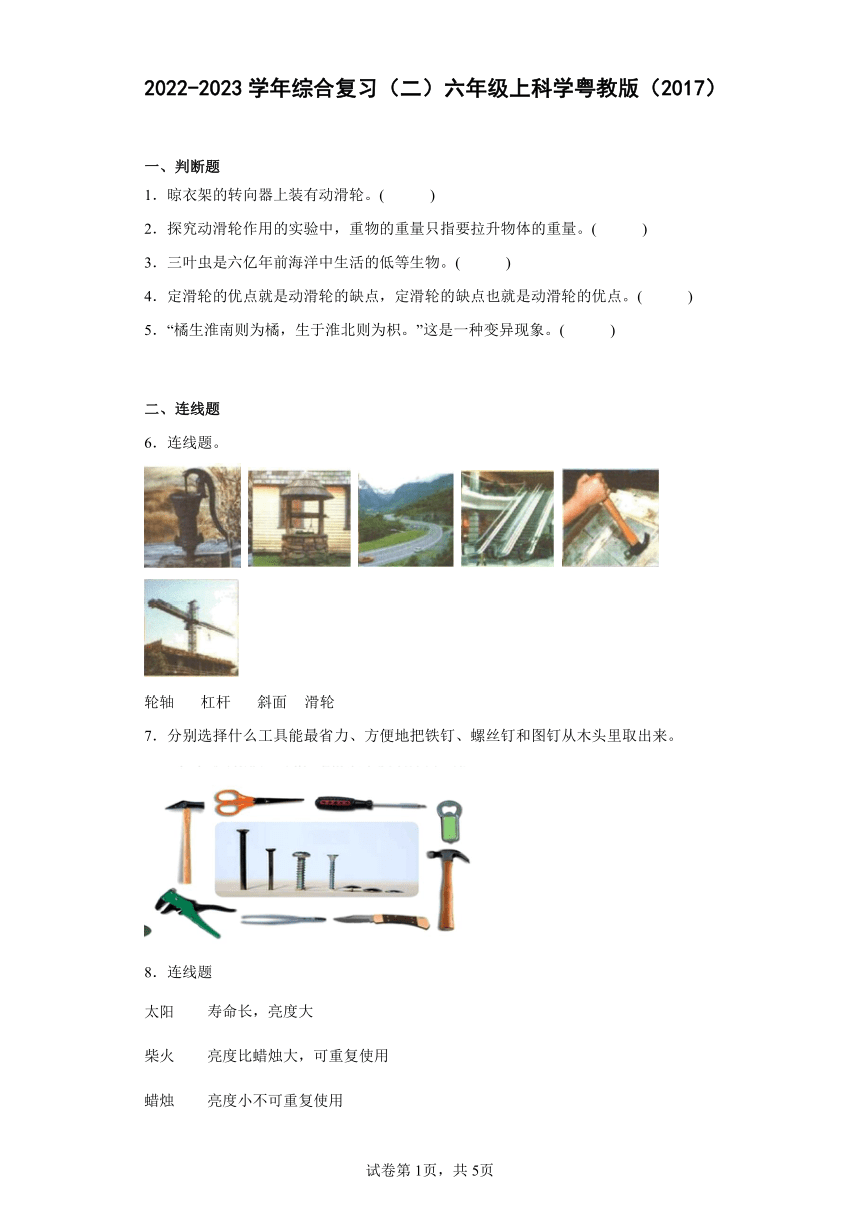 2022-2023学年粤教粤科版（2017秋）六年级上科学综合复习（二）（含答案）