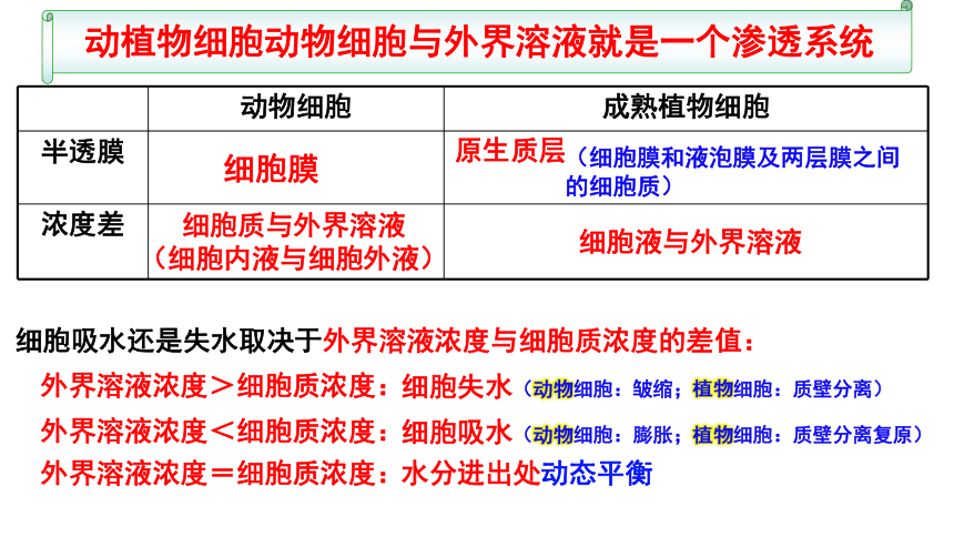 【备考2022一轮复习】&1.4 物质跨膜运输实例及物质运输方式（共52张ppt）