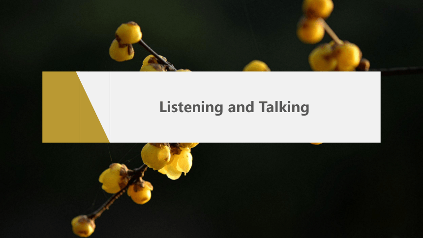 Unit 1 Listening and Talking课件（共25张PPT）人教版（2019）选择性必修 第三册