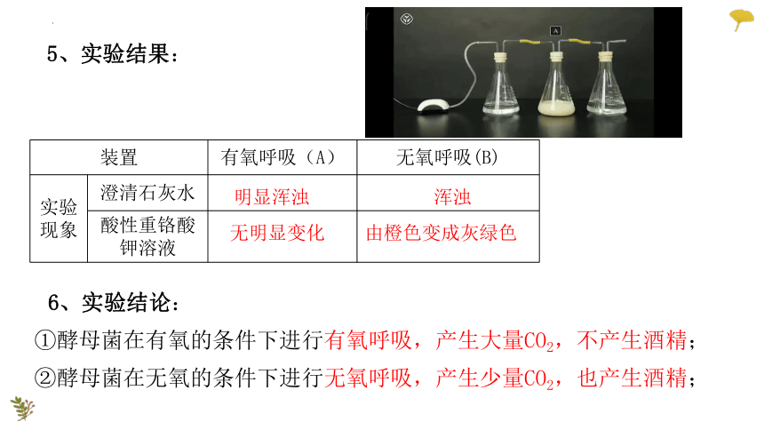 2022-2023学年高一上学期生物人教版（2019）必修1-5.3.1细胞呼吸的原理与应用课件（26张ppt）