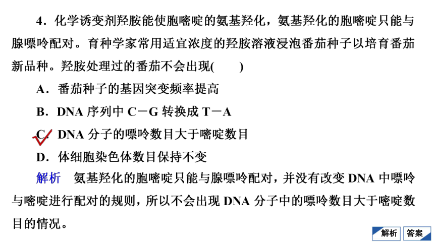 高考生物复习用卷：单元测试(六)　变异与进化（56张PPT）