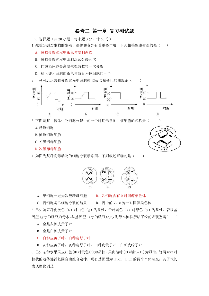 苏教版（2019）必修二第一章 遗传的细胞基础 测试题（含答案）