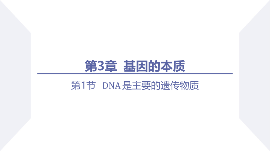 3.1 DNA是主要的遗传物质 课件(共50张PPT) 2023-2024学年高一生物人教版（2019）必修第二册