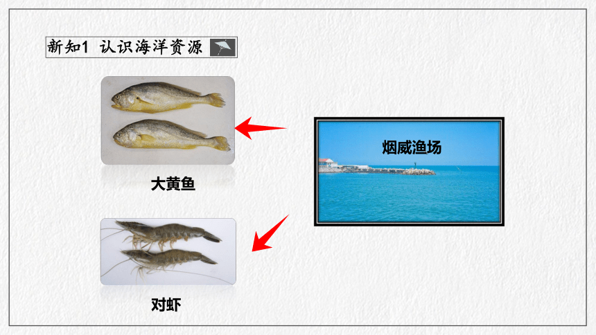 第10章 我国的海洋国土第二节 海洋利用与保护  课件（共33张ppt）