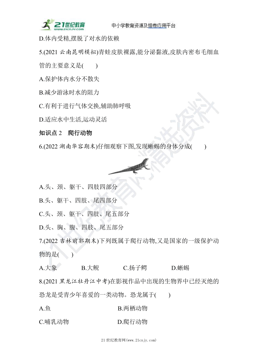 5.1.5两栖动物和爬行动物双减分层素养提升同步练习（含解析）