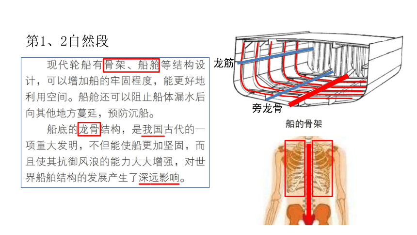 教科版（2017秋）五年级科学下册 单元科学阅读教学课件(共10张PPT)