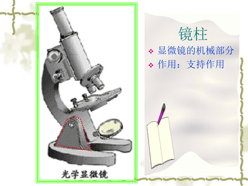 人教版七年级上册生物学2.1.1练习使用显微镜课件(共39张PPT)