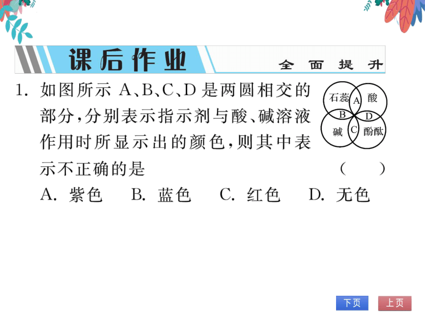 【人教版】化学九年级下册-第十单元 课题1 第1课时 酸碱指示剂几种常见的酸 (习题课件)