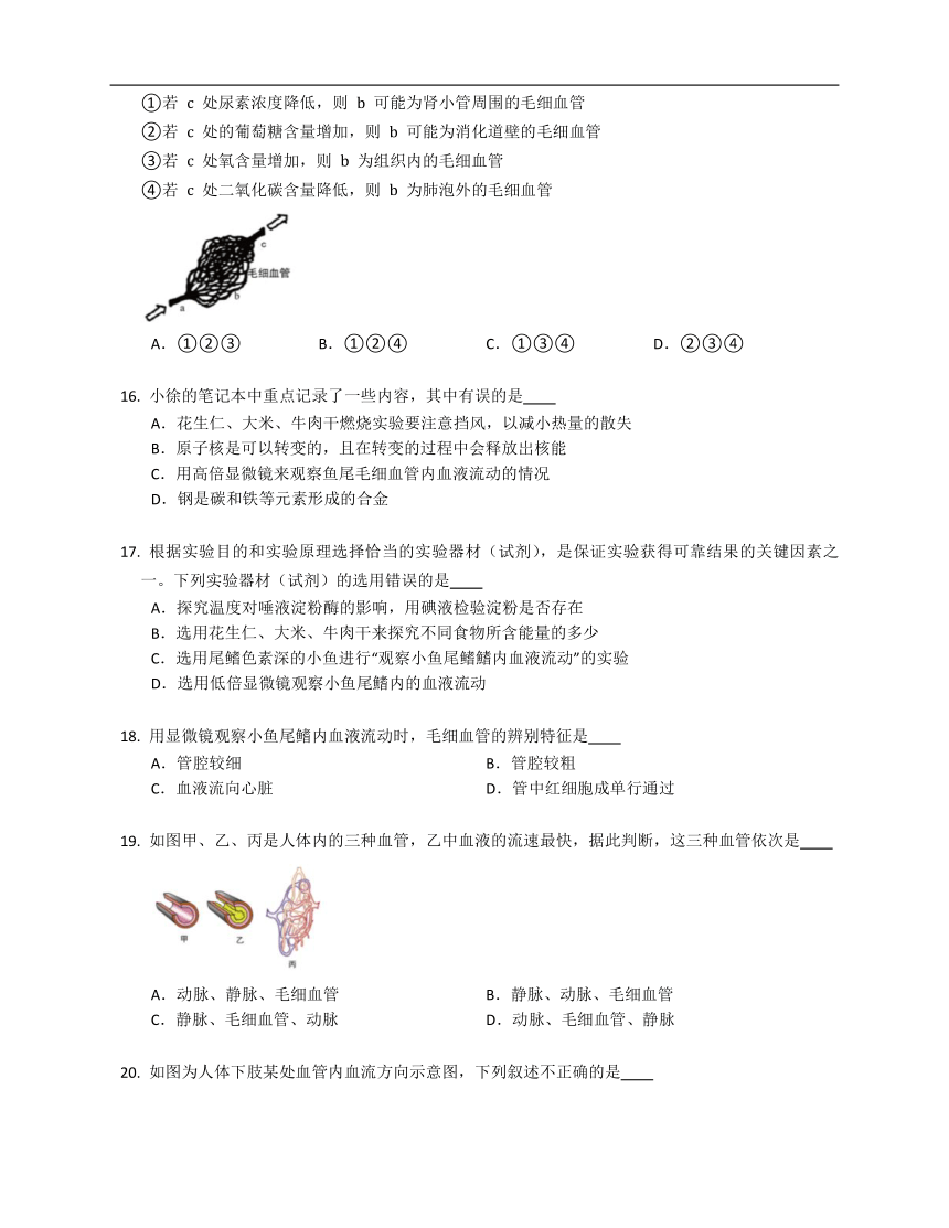 4.2血流的管道——血管  练习（含解析）