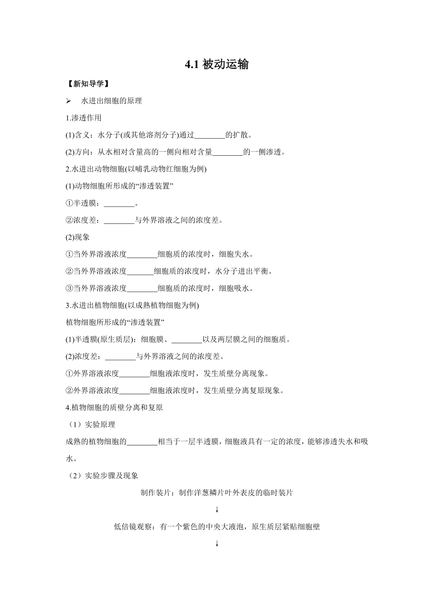 4.1被动运输 导学案——2022-2023学年高一生物人教版（2019）必修一