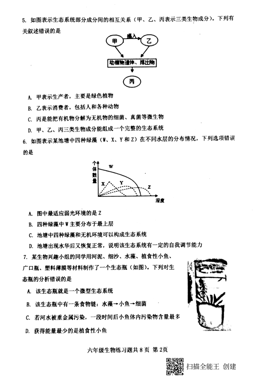 山东省泰安市岱岳区2021-2022学年六年级上学期期末考试生物试题（PDF版含答案）