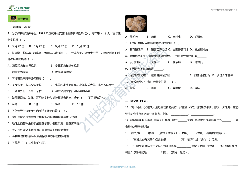 教科版（2017秋）小学科学六年级下册第二单元 知识梳理与单元检测卷（含答案）