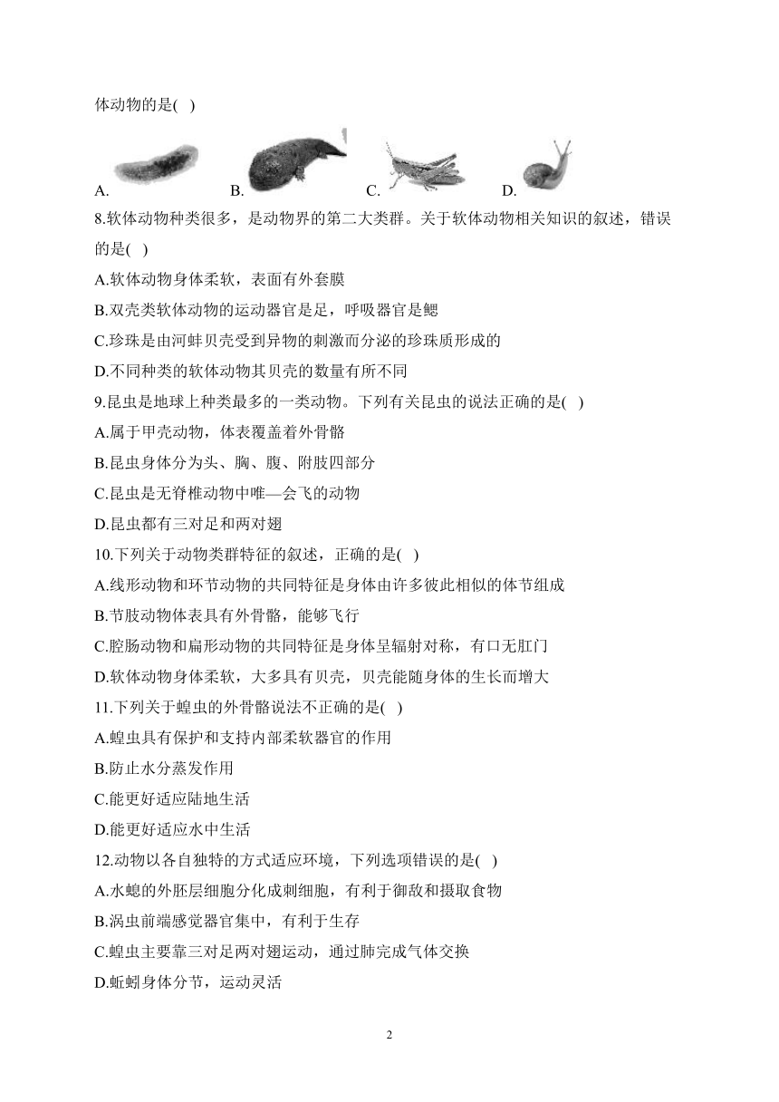 专题01 动物的主要类群（一）——2022-2023学年人教版八年级生物上学期期末专题复习（含解析）