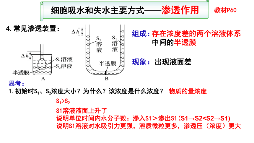 【备考2022一轮复习】&1.4 物质跨膜运输实例及物质运输方式（共52张ppt）