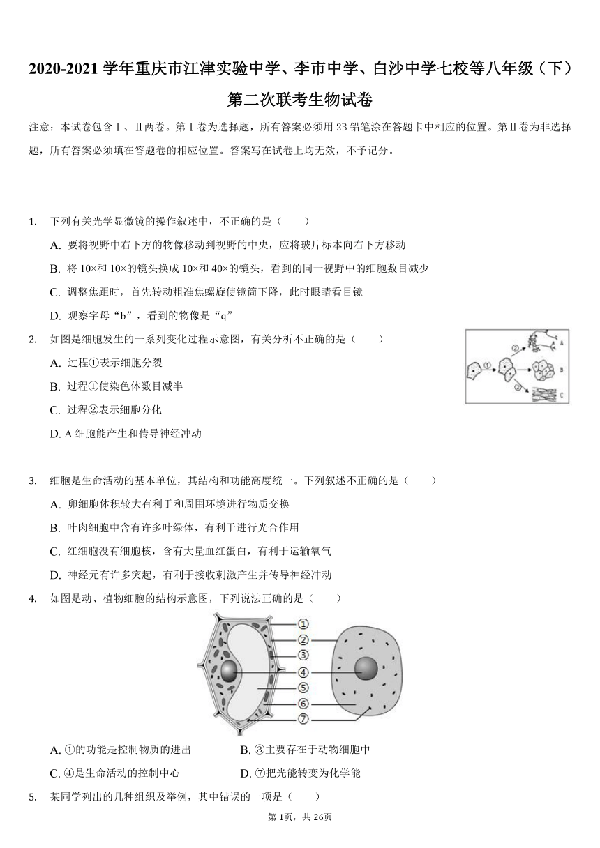 2020-2021学年重庆市江津实验中学、李市中学、白沙中学七校等八年级（下）第二次联考生物试卷（word版，含解析）