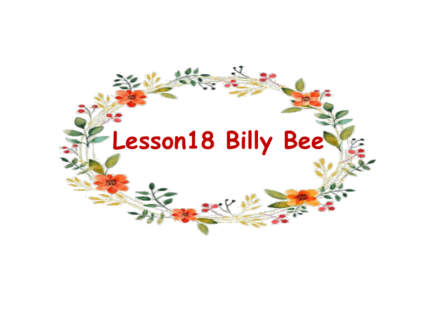 Unit3 Lesson18 Billy Bee 课件(共20张PPT)