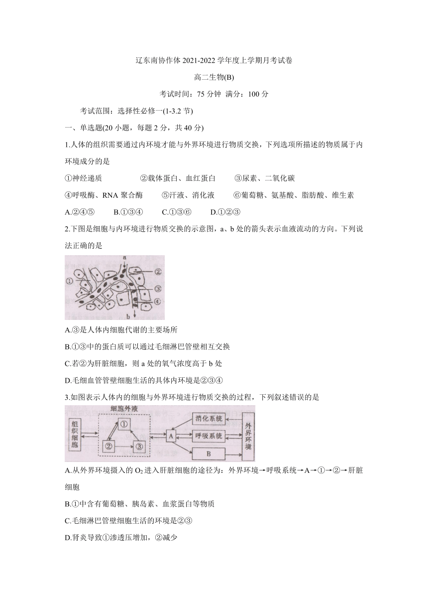 辽宁省辽东南协作体2021-2022学年高二上学期第一次月考（10月）生物试题（Word版含答案）