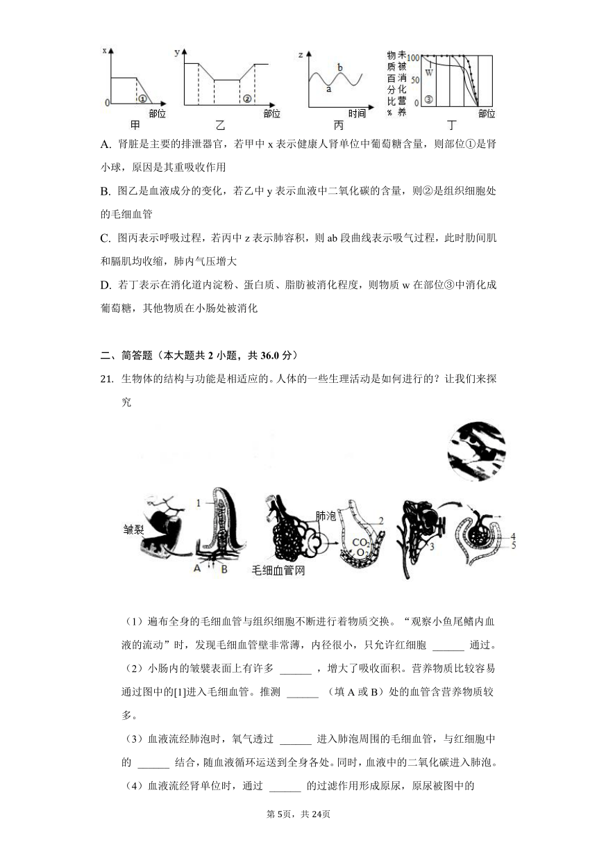 2021-2022学年山东省济宁市金乡县高河中学七年级（下）期中生物试卷（word版含解析）