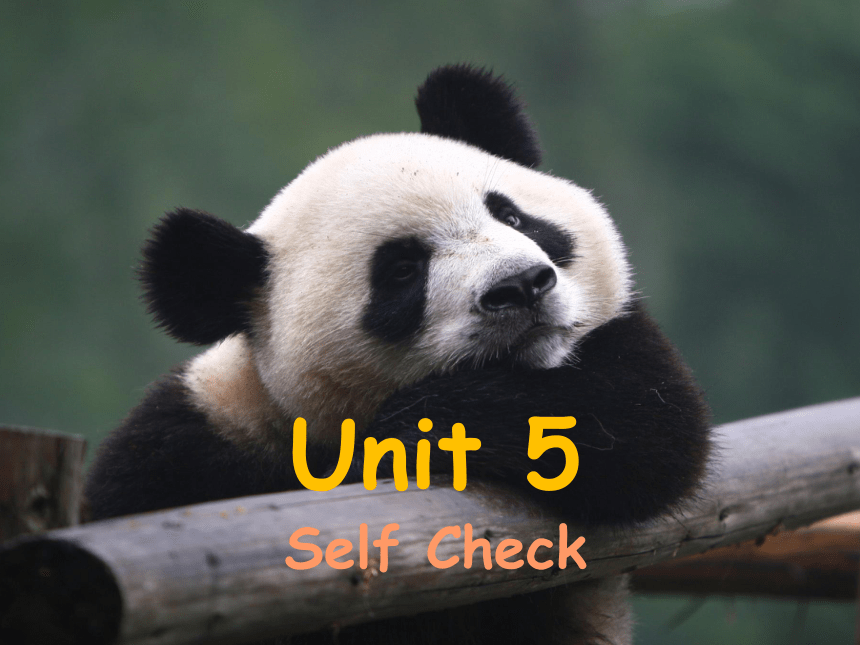 Unit 5 Why do you like pandas  Section B Self check课件(共32张PPT)