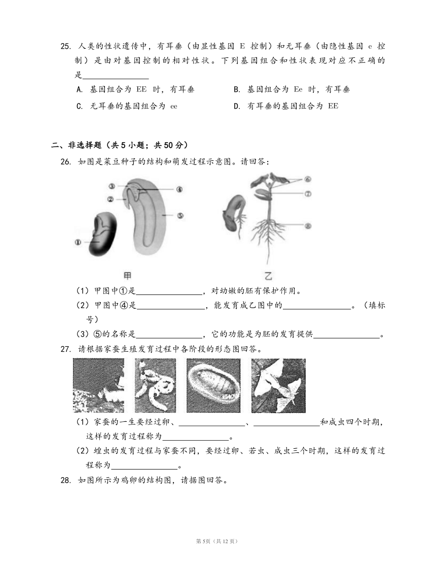 济南版八年级上册生物单元冲刺卷第四单元物种的延续(word版，含答案解析）