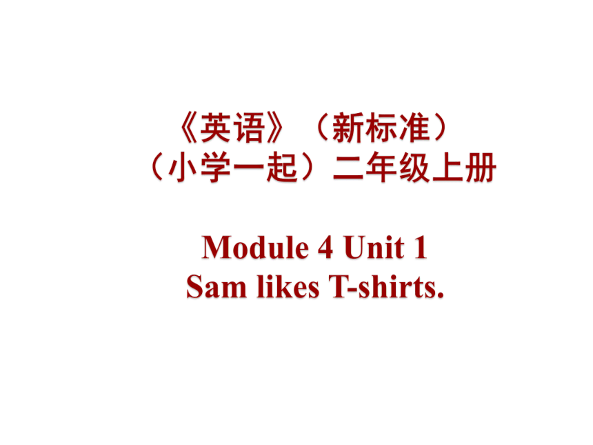 Module 4 Unit 1 Sam likes T-shirts. 课件(共19张PPT)