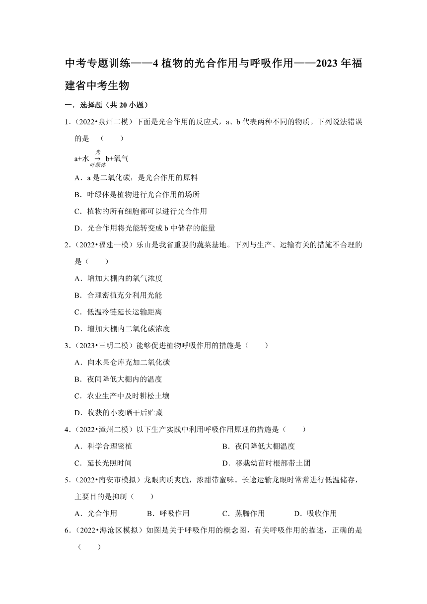 中考专题训练——4植物的光合作用与呼吸作用——2023年福建省中考生物（含解析）