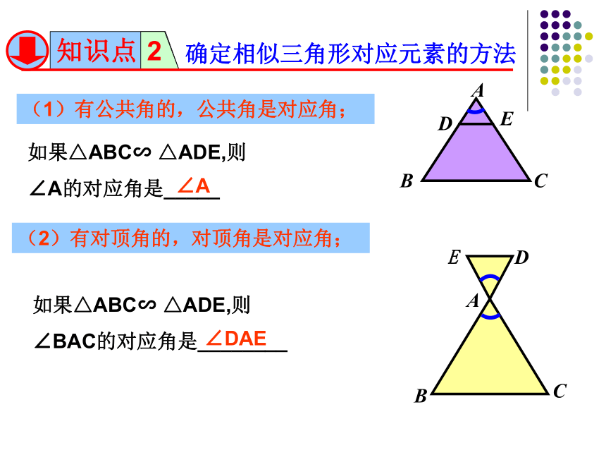 23.3相似三角形（1）平行线判定三角形相似-华东师大版九年级数学上册课件（15张）